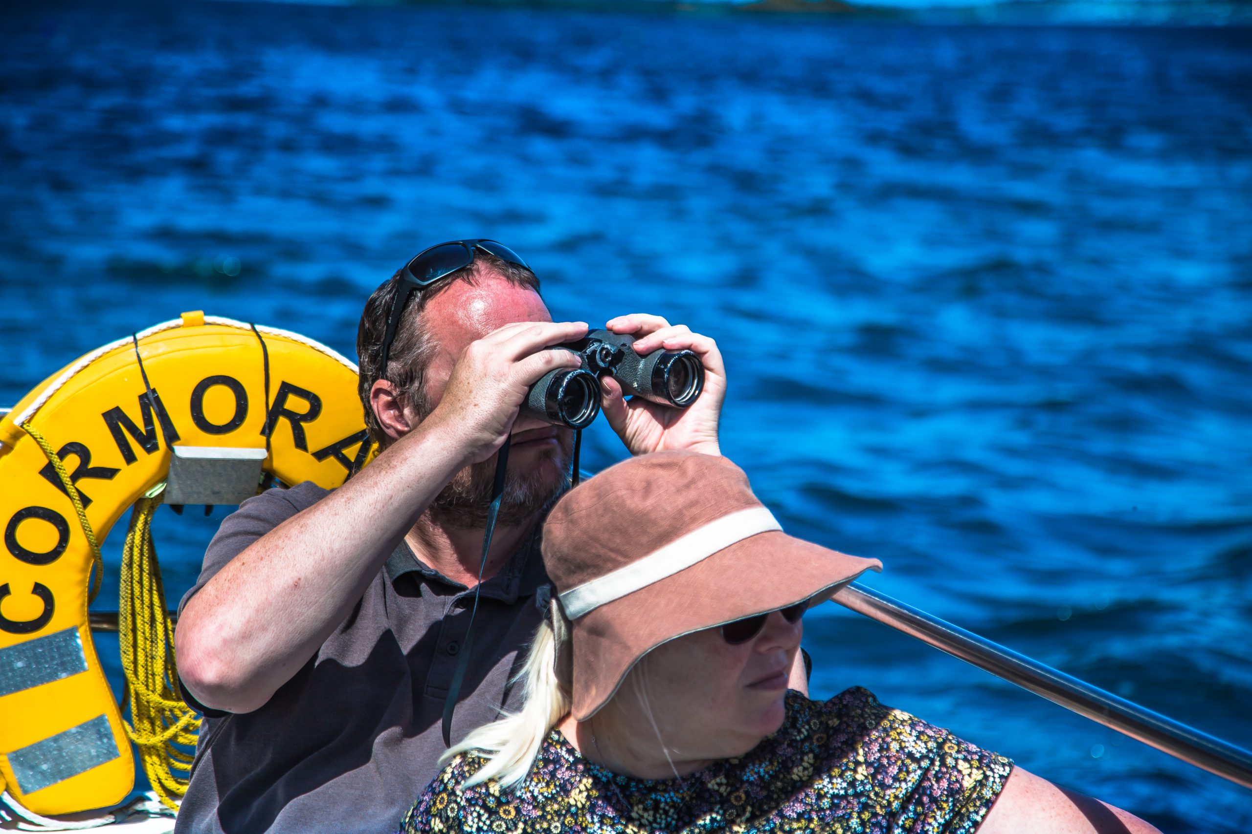 A passenger with his binoculars looking for dolphins and whales.