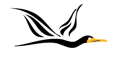 The Cormorant Cruising logo